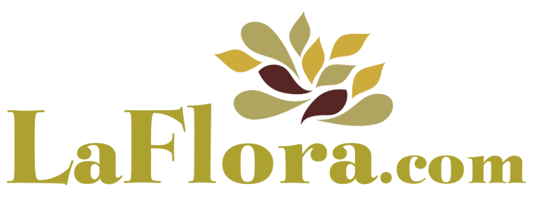 Logo Květiny Albrechtová